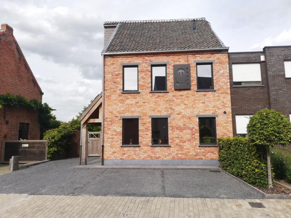 B&B Fagus Buggenhout Eksteriør billede